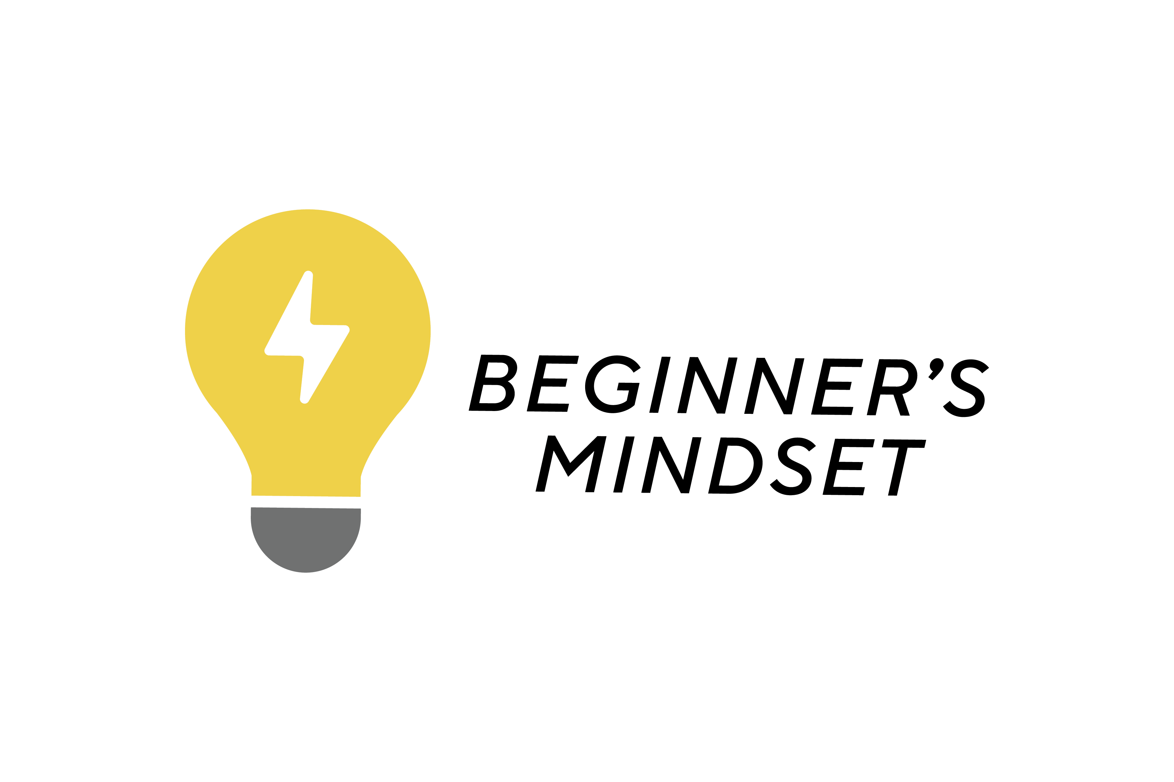 Beginner's mindset